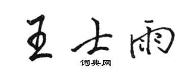 骆恒光王士雨行书个性签名怎么写