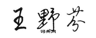 骆恒光王野芬行书个性签名怎么写