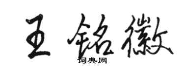 骆恒光王铭徽行书个性签名怎么写