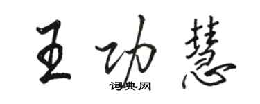 骆恒光王功慧行书个性签名怎么写
