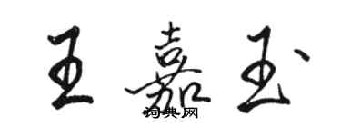 骆恒光王嘉玉行书个性签名怎么写