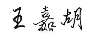 骆恒光王嘉胡行书个性签名怎么写