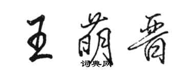 骆恒光王萌晋行书个性签名怎么写