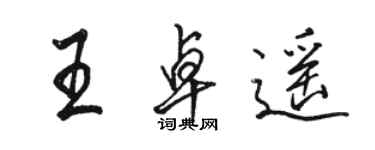 骆恒光王卓遥行书个性签名怎么写