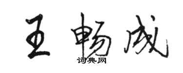 骆恒光王畅成行书个性签名怎么写