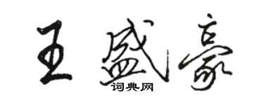 骆恒光王盛豪行书个性签名怎么写