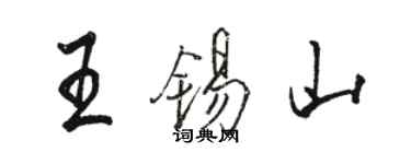 骆恒光王锡山行书个性签名怎么写