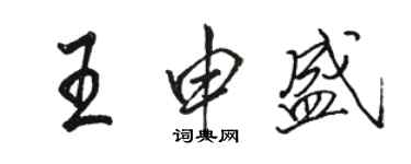 骆恒光王申盛行书个性签名怎么写