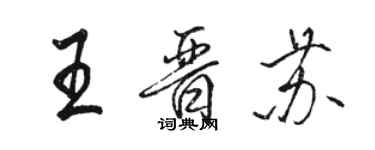 骆恒光王晋苏行书个性签名怎么写