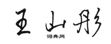 骆恒光王山彤行书个性签名怎么写