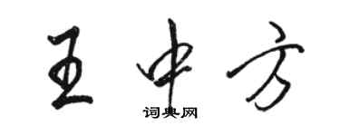 骆恒光王中方行书个性签名怎么写