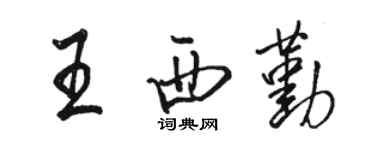 骆恒光王西勤行书个性签名怎么写