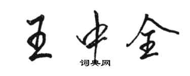 骆恒光王中全行书个性签名怎么写