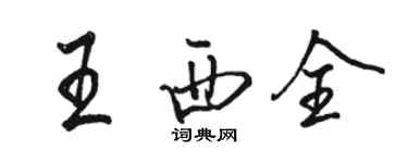 骆恒光王西全行书个性签名怎么写