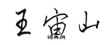 骆恒光王宙山行书个性签名怎么写