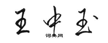 骆恒光王中玉行书个性签名怎么写