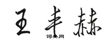 骆恒光王丰赫行书个性签名怎么写