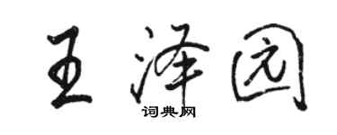 骆恒光王泽园行书个性签名怎么写