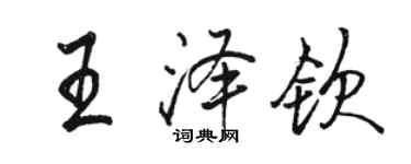 骆恒光王泽钦行书个性签名怎么写