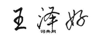 骆恒光王泽好行书个性签名怎么写