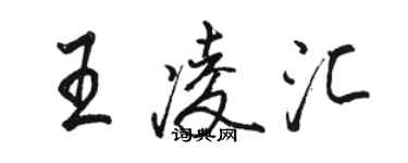 骆恒光王凌汇行书个性签名怎么写