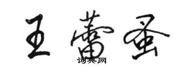 骆恒光王蕾蚤行书个性签名怎么写