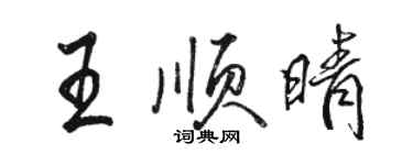 骆恒光王顺晴行书个性签名怎么写