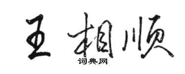 骆恒光王相顺行书个性签名怎么写