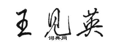 骆恒光王见英行书个性签名怎么写