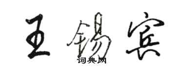 骆恒光王锡宾行书个性签名怎么写