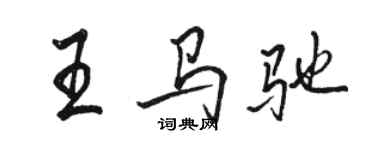 骆恒光王马驰行书个性签名怎么写