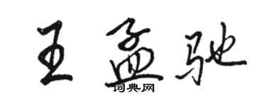 骆恒光王孟驰行书个性签名怎么写