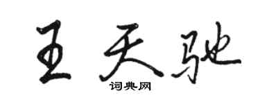 骆恒光王天驰行书个性签名怎么写