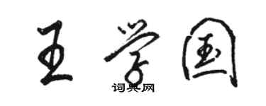骆恒光王学国行书个性签名怎么写