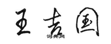 骆恒光王吉国行书个性签名怎么写