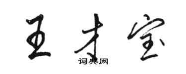 骆恒光王才宝行书个性签名怎么写
