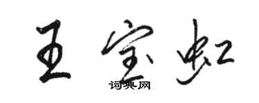 骆恒光王宝虹行书个性签名怎么写