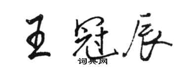 骆恒光王冠辰行书个性签名怎么写