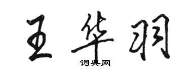骆恒光王华羽行书个性签名怎么写