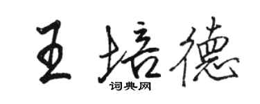 骆恒光王培德行书个性签名怎么写