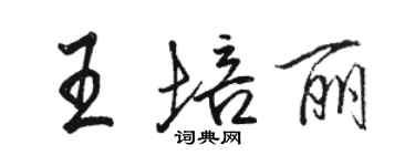 骆恒光王培丽行书个性签名怎么写