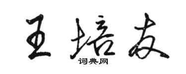 骆恒光王培友行书个性签名怎么写