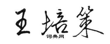 骆恒光王培策行书个性签名怎么写