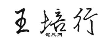 骆恒光王培行行书个性签名怎么写