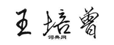 骆恒光王培曾行书个性签名怎么写