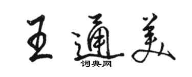骆恒光王通美行书个性签名怎么写