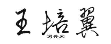 骆恒光王培翼行书个性签名怎么写
