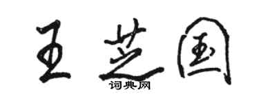 骆恒光王芝国行书个性签名怎么写