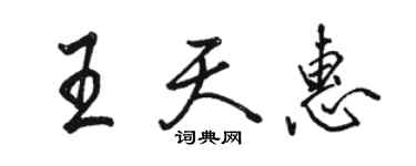 骆恒光王天惠行书个性签名怎么写
