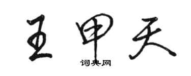 骆恒光王甲天行书个性签名怎么写